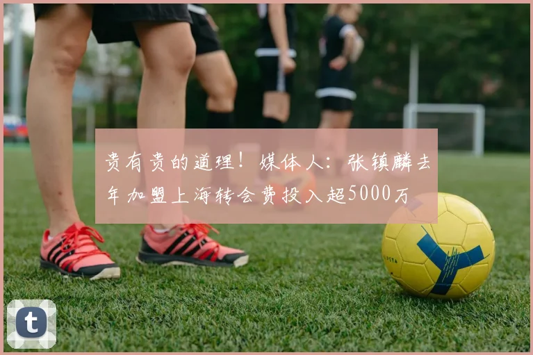 贵有贵的道理!媒体人:张镇麟去年加盟上海转会费投入超5000万